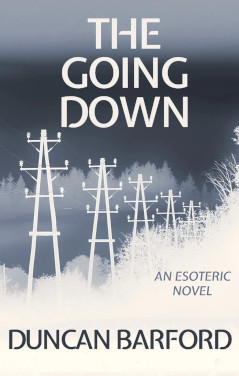 Cover of The Going Down. Electricity pylons.